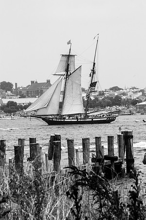 Privateer Lynx