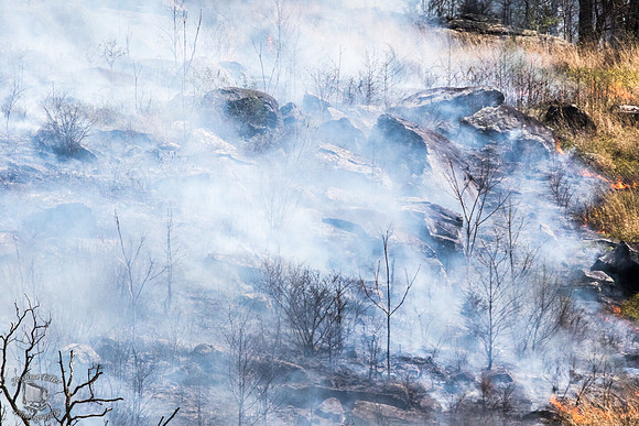 Fog of War