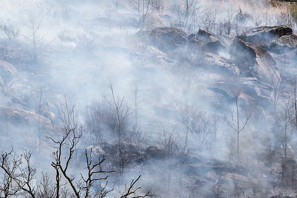Fog of War