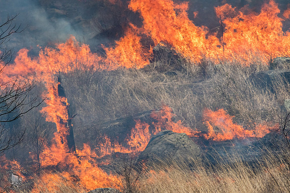Fire