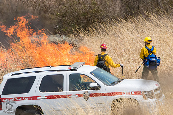 NPS Fire