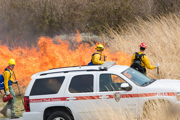 NPS Fire