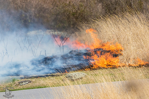 Burning Land