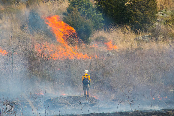 Firefighter