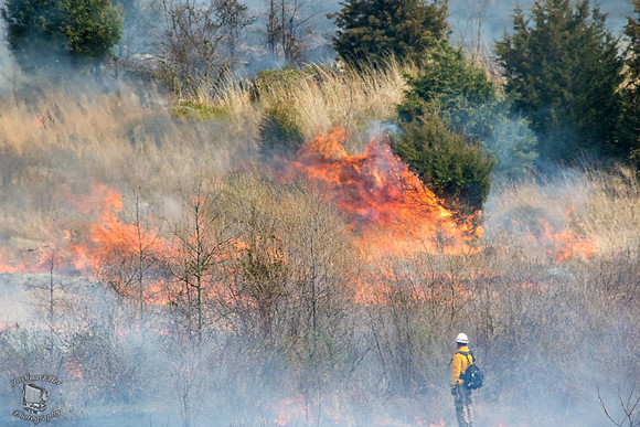 Scorched Earth