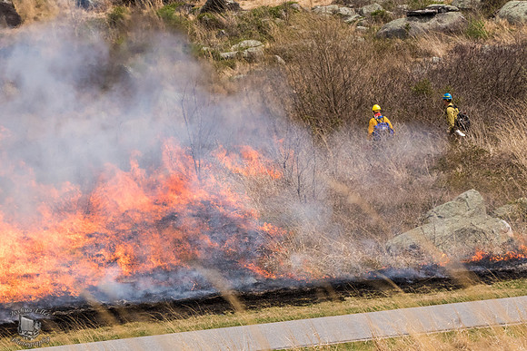 Burning Land