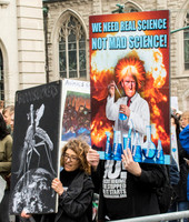 Not Mad Science
