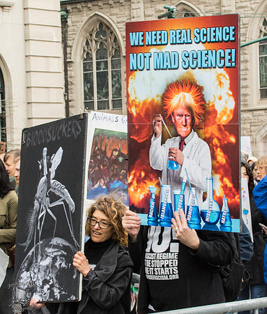 Not Mad Science