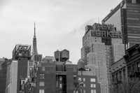 New Yorker