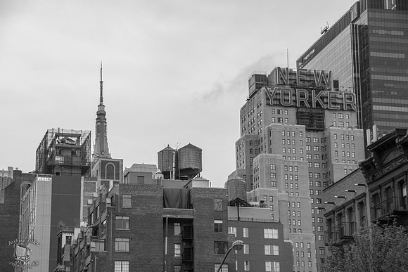 New Yorker