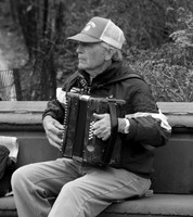 Accordion