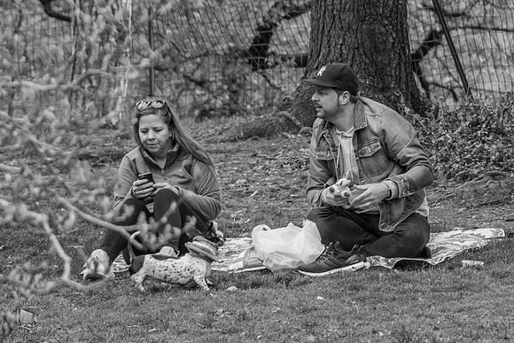 Picnic