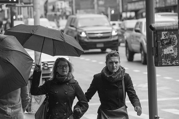 Umbrella