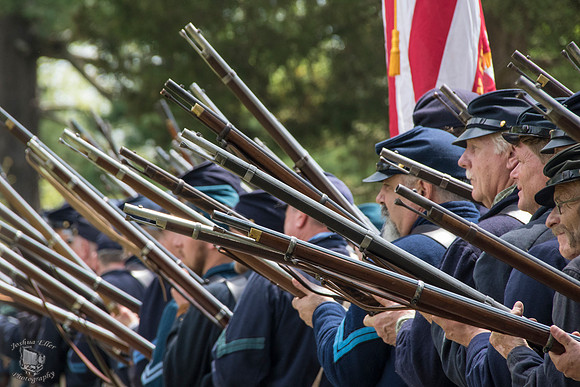 Rifles
