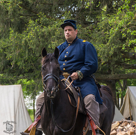The Rider
