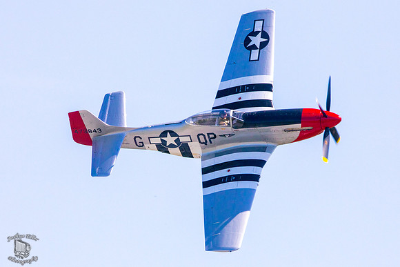 Redtail