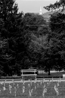 National Soldier Cemetery