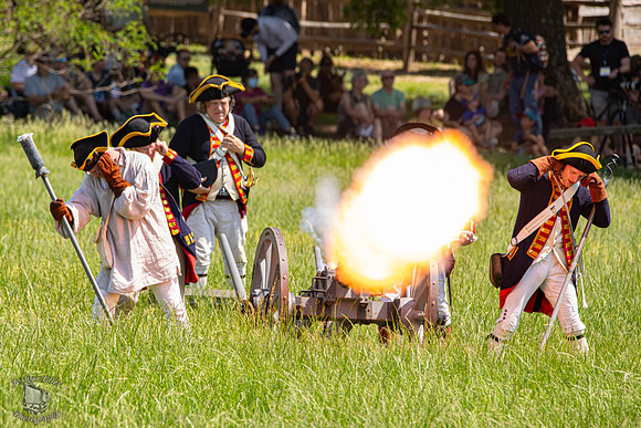 Field Artillery
