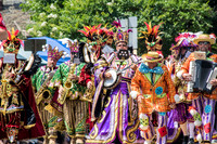Polish American String Band
