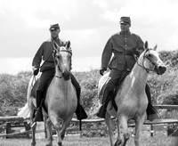 Southern Cavalry
