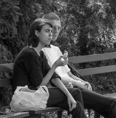 On the Bench