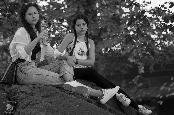 On a Rock