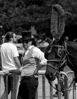 Carriage Ride