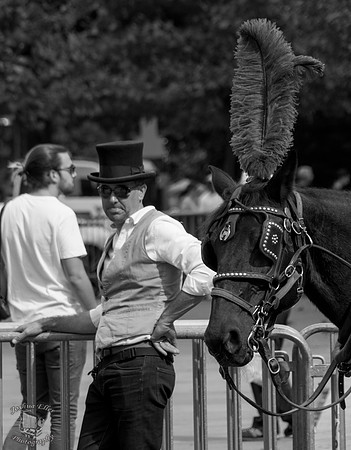 Carriage Ride