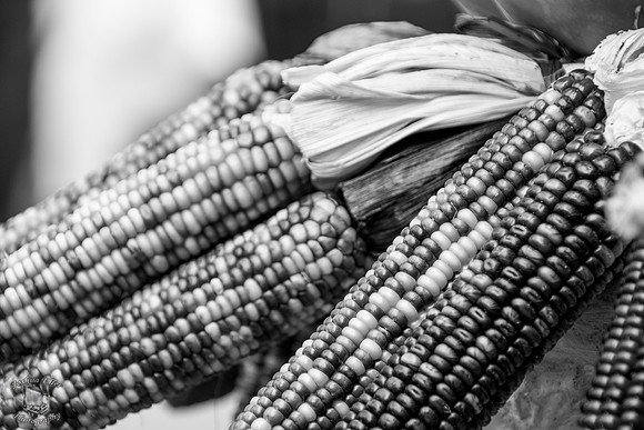 Corn