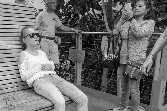 On the Bench