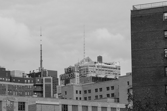 New Yorker