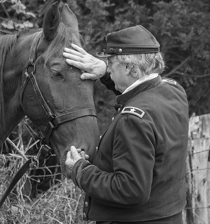 Cavalry