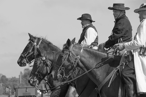 Southern Cavalry