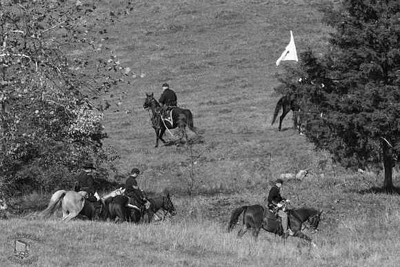 Cavalry