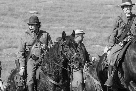 Southern Cavalry