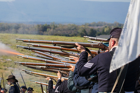 Rifles