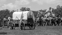 Wagon
