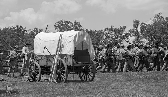 Wagon