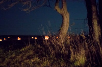 Illumination