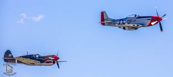 P-40 & P-51