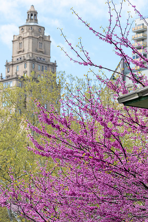 Spring