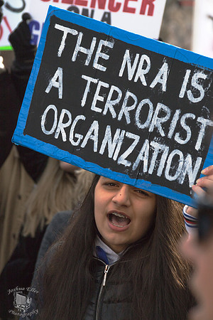 NRA Is A Terrorist