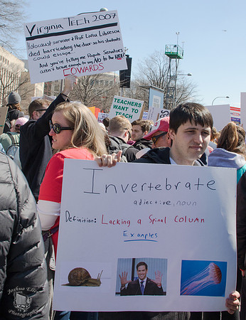 Invertebrates