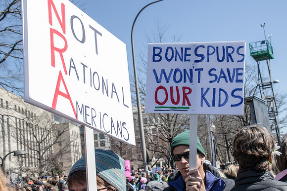 Not Rational Americans
