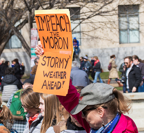 Impeach The Moron
