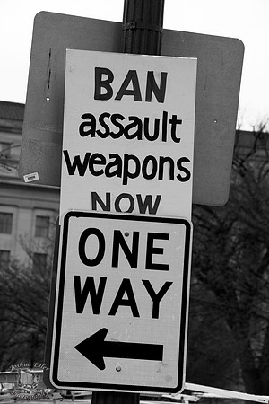 Ban Assault Weapons Now
