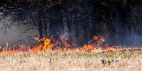 Burning of Manassas