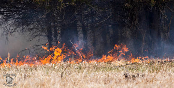 Burning of Manassas