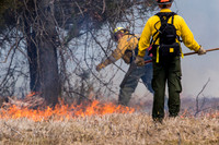 Lighting the Fire