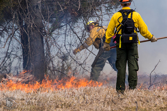 Lighting the Fire
